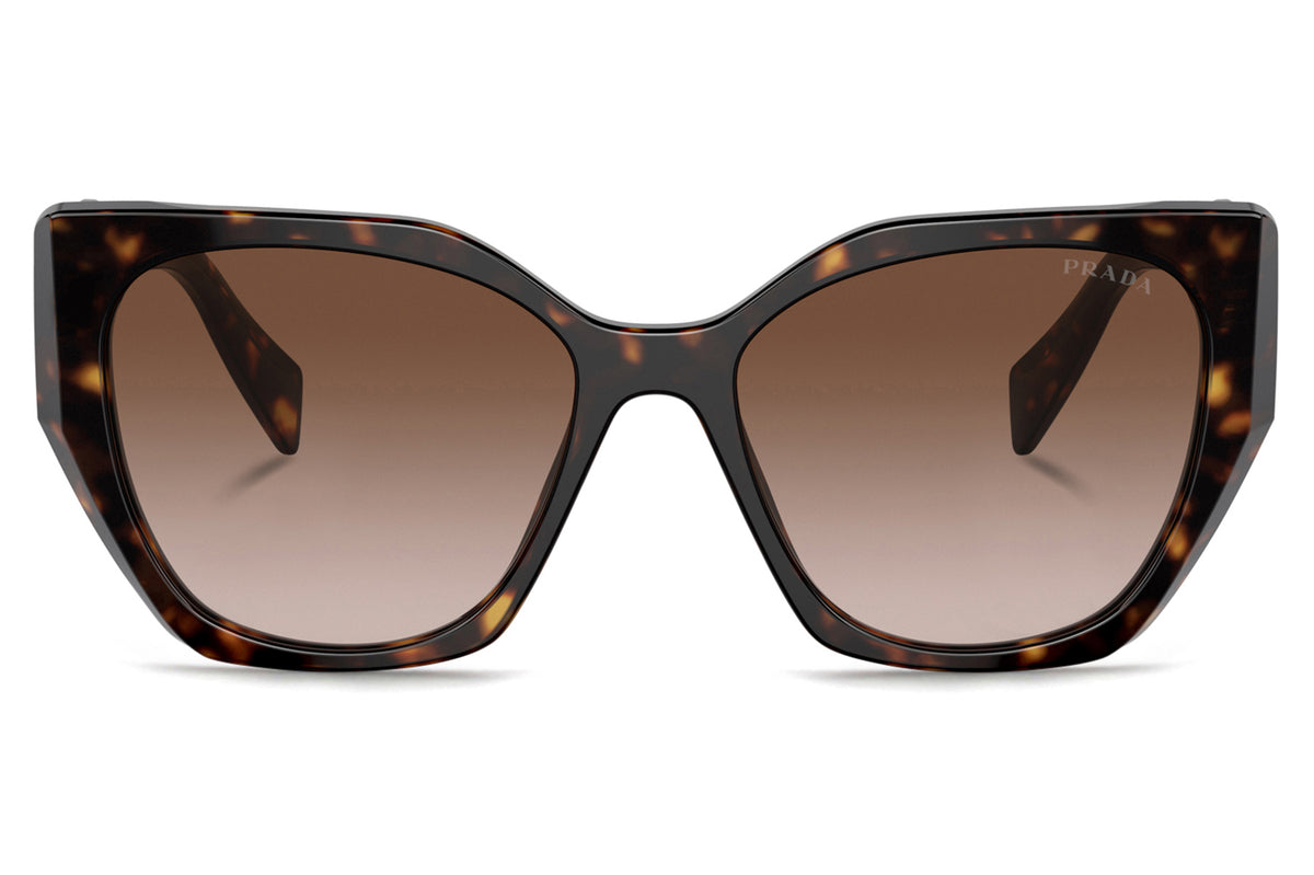 フェデ Prada - PR 19ZSF (Low Bridge Fit) Sunglasses | Specs Collective