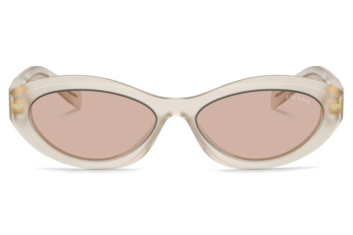 PRADA プラダ 0PR26ZSF オーバルタイプサングラス アジアン Prada® - PR 26ZSF (Low Bridge Fit) | Oval Acetate Sunglasses