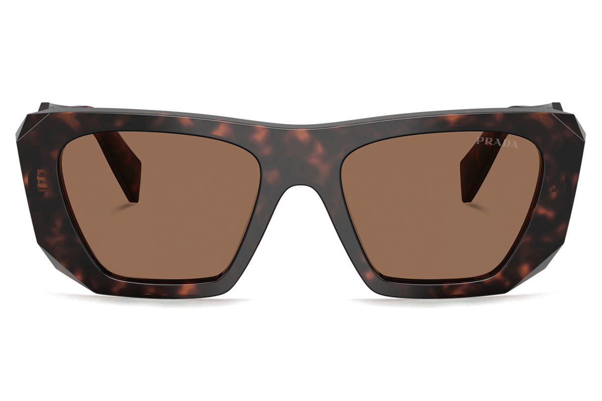 Prada® - PR B18S | Square Acetate Sunglasses