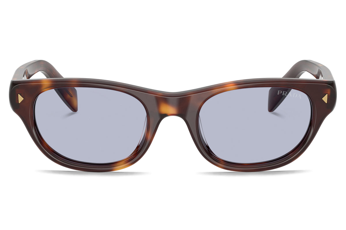 Prada® - PR C08SF (Low Bridge Fit) | Cat eye Acetate Sunglasses
