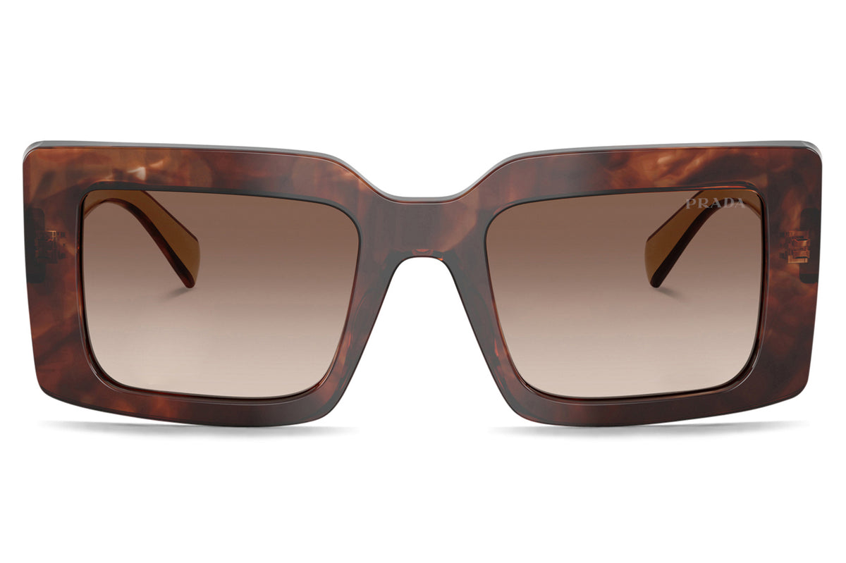 Prada® - PR D01SF (Low Bridge Fit) | Square Acetate Sunglasses