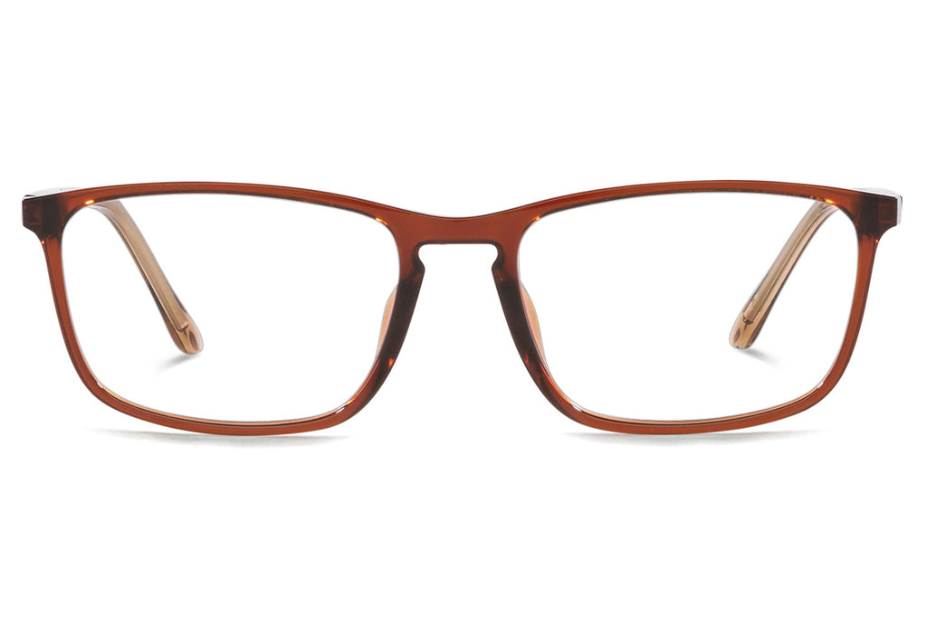 Starck Biotech - SH3073 Eyeglasses Transparent Brown