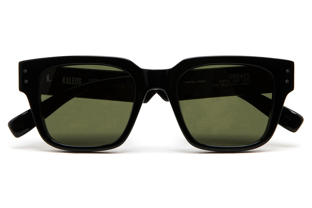 Kaleos Eyehunters - Groves Sunglasses Black
