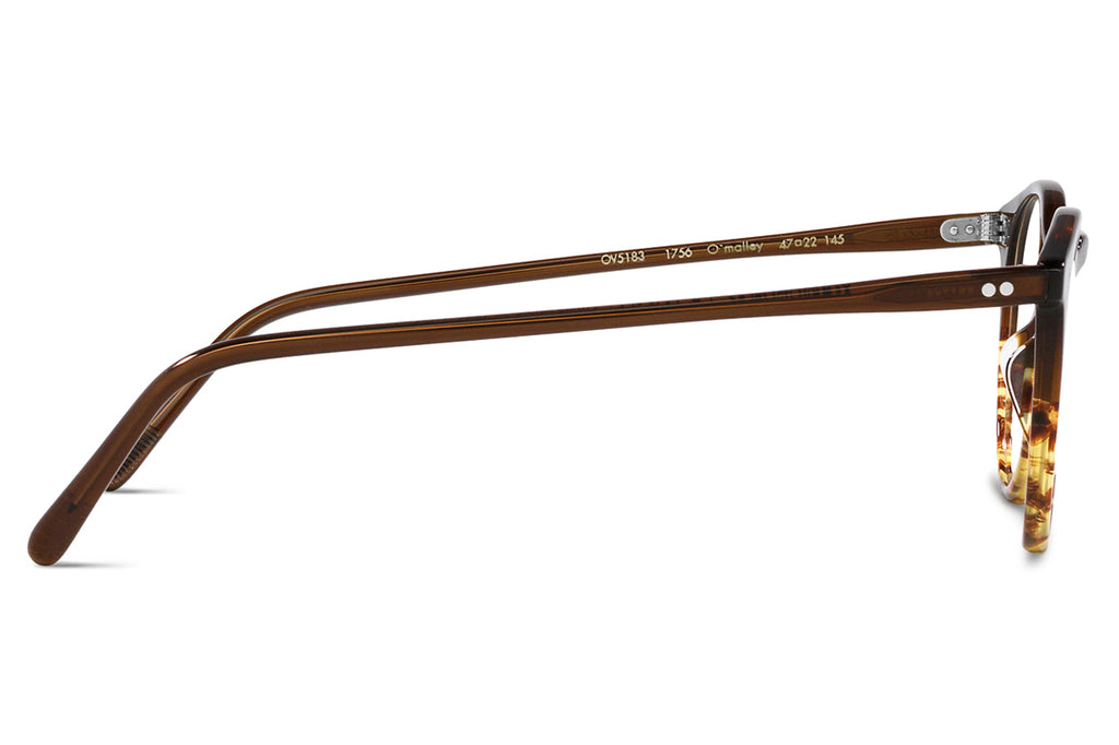 Oliver Peoples - O Malley (OV5183) Eyeglasses Espresso/382 Gradient