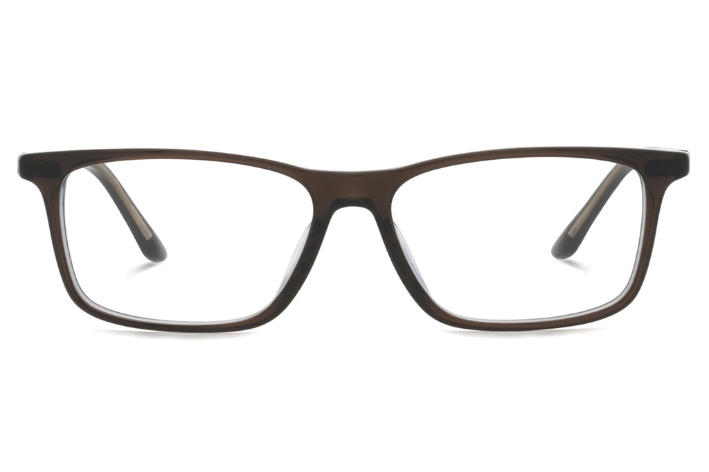 Starck Biotech - SH3078 Eyeglasses Brown/Avio