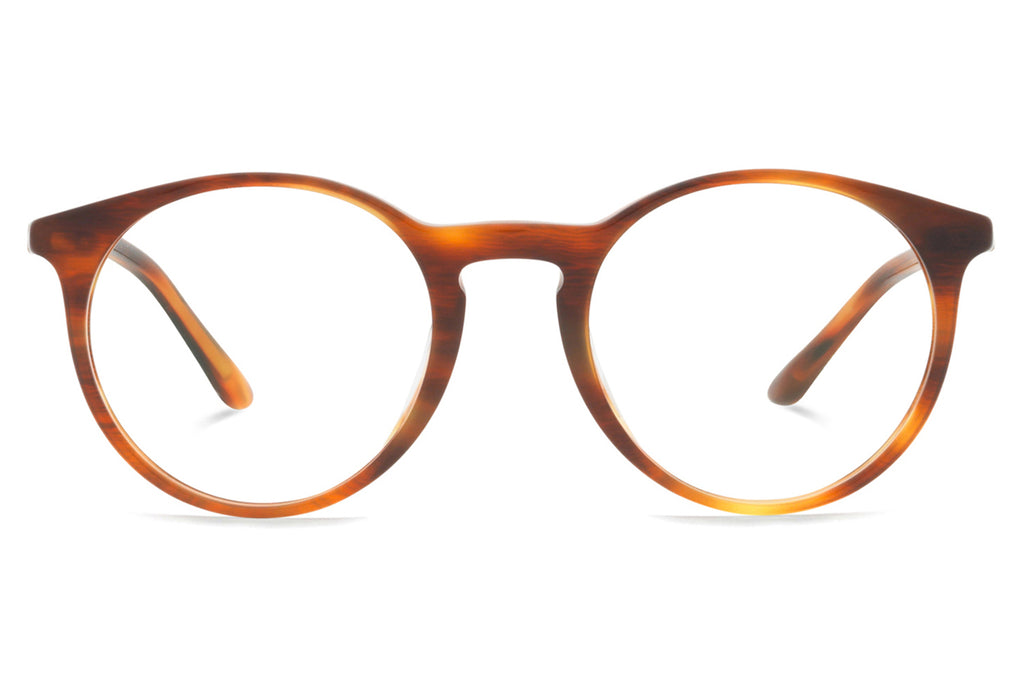 Starck Biotech - SH3079 Eyeglasses Havana