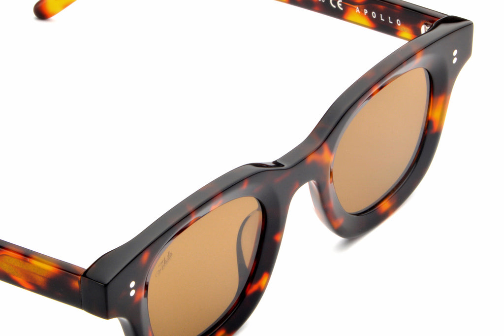 AKILA® Eyewear - Apollo Sunglasses Tortoise w/ Brown Lenses