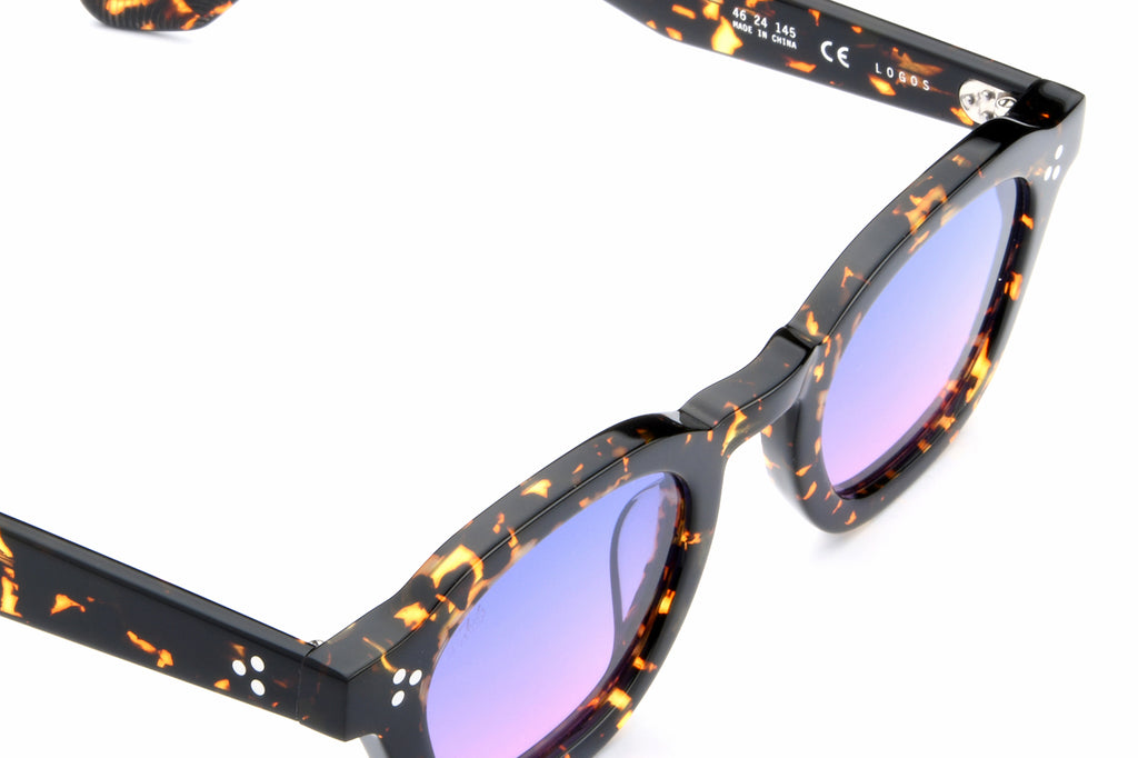 AKILA® Eyewear - Logos Sunglasses Tokyo Tortoise w/ Sunset Lenses