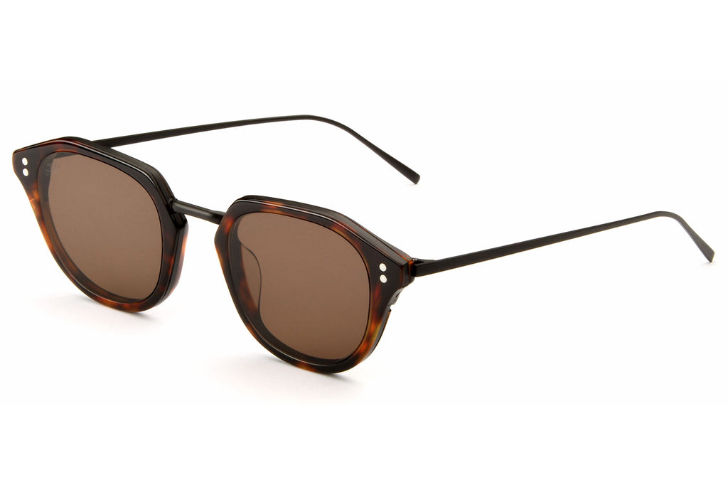 AKILA® Eyewear - Theory Sunglasses Tortoise w/ Brown Lenses