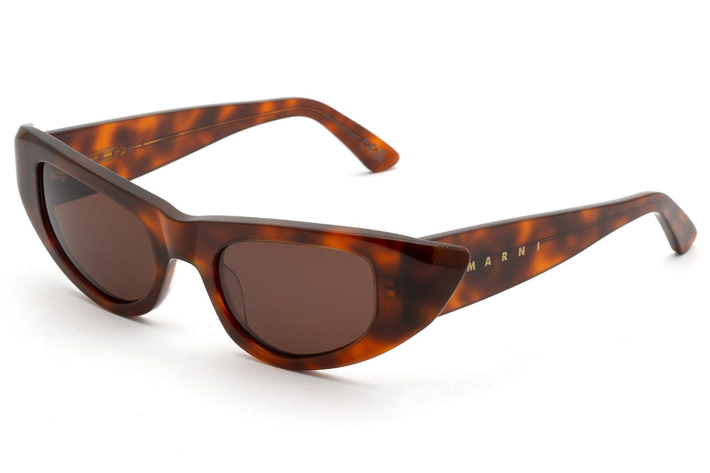 Marni® - Netherworld Sunglasses Havana