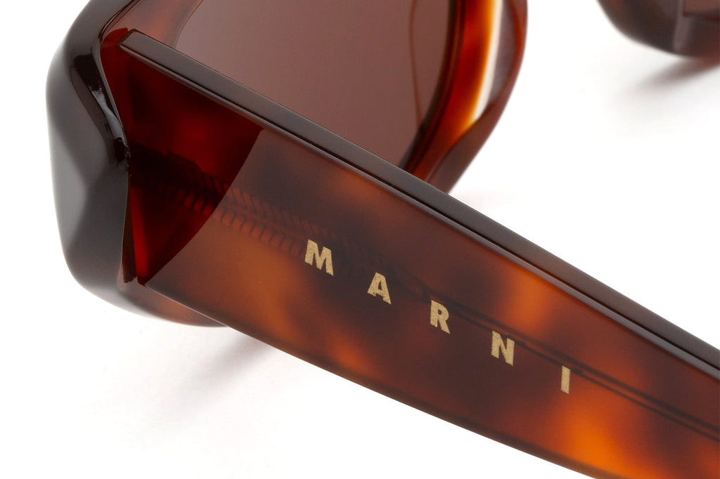 Marni® - Netherworld Sunglasses Havana