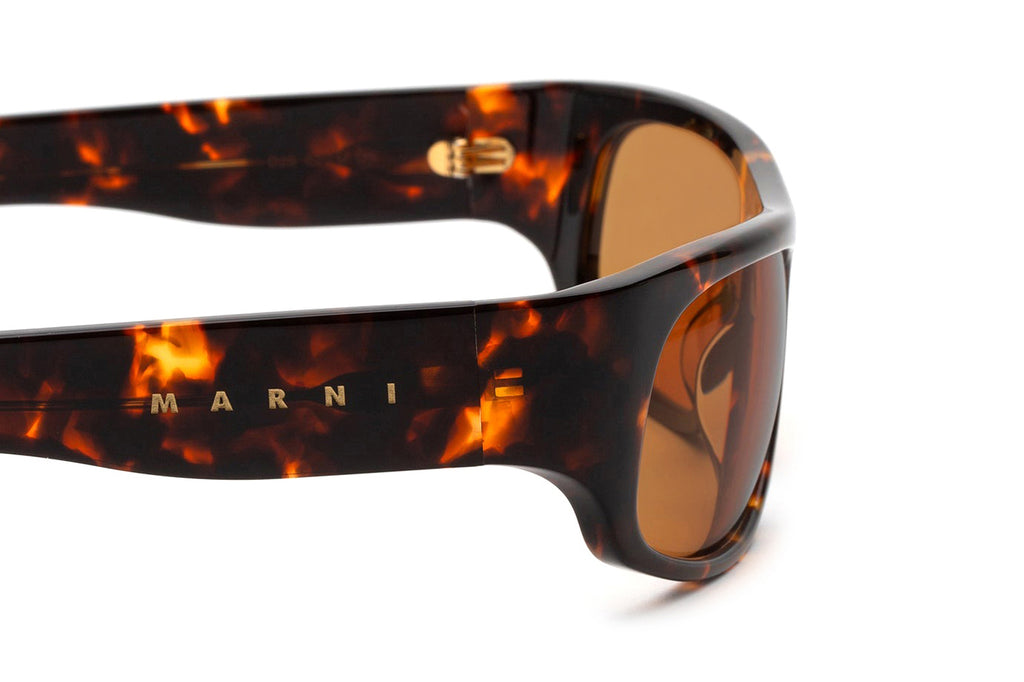 Marni® - Uailus Sunglasses Burnt Havana