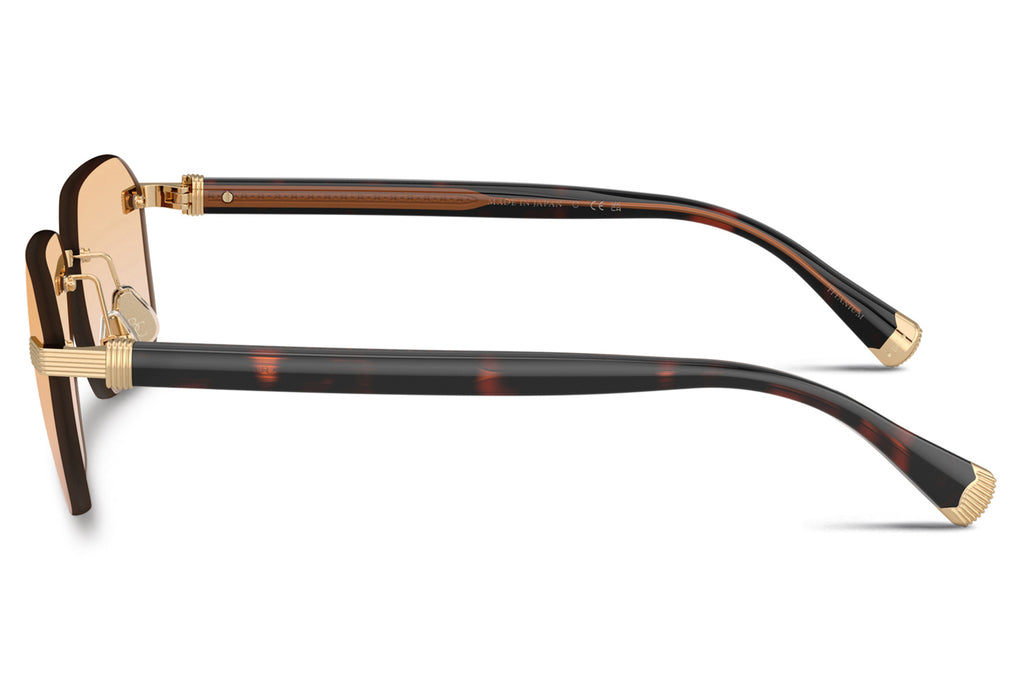 Brunello Cucinelli® Tyler (BC1011T) Sunglasses - Luxury Eyewear Gold Plated