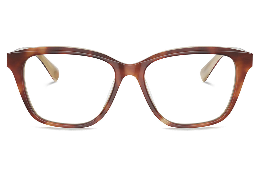 Brunello Cucinelli® BC3004 Eyeglasses - Luxury Eyewear Havana/Panama