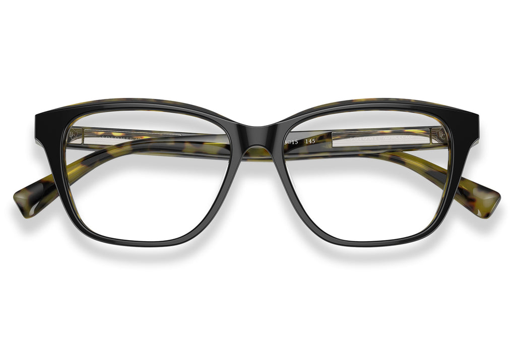 Brunello Cucinelli® BC3004 Eyeglasses - Luxury Eyewear Black/Havana