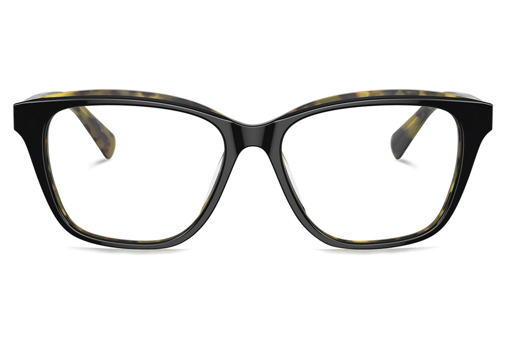 Brunello Cucinelli® BC3004 Eyeglasses - Luxury Eyewear Black/Havana