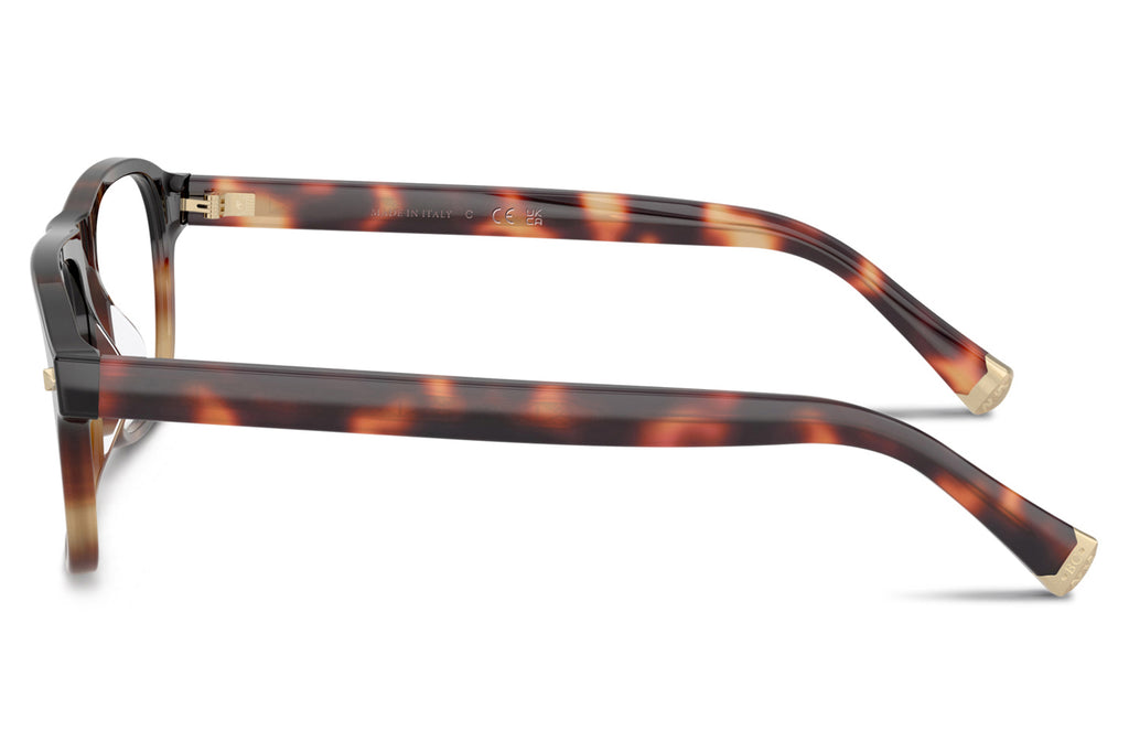 Brunello Cucinelli® BC3014 Eyeglasses - Luxury Eyewear Havana Tabacco