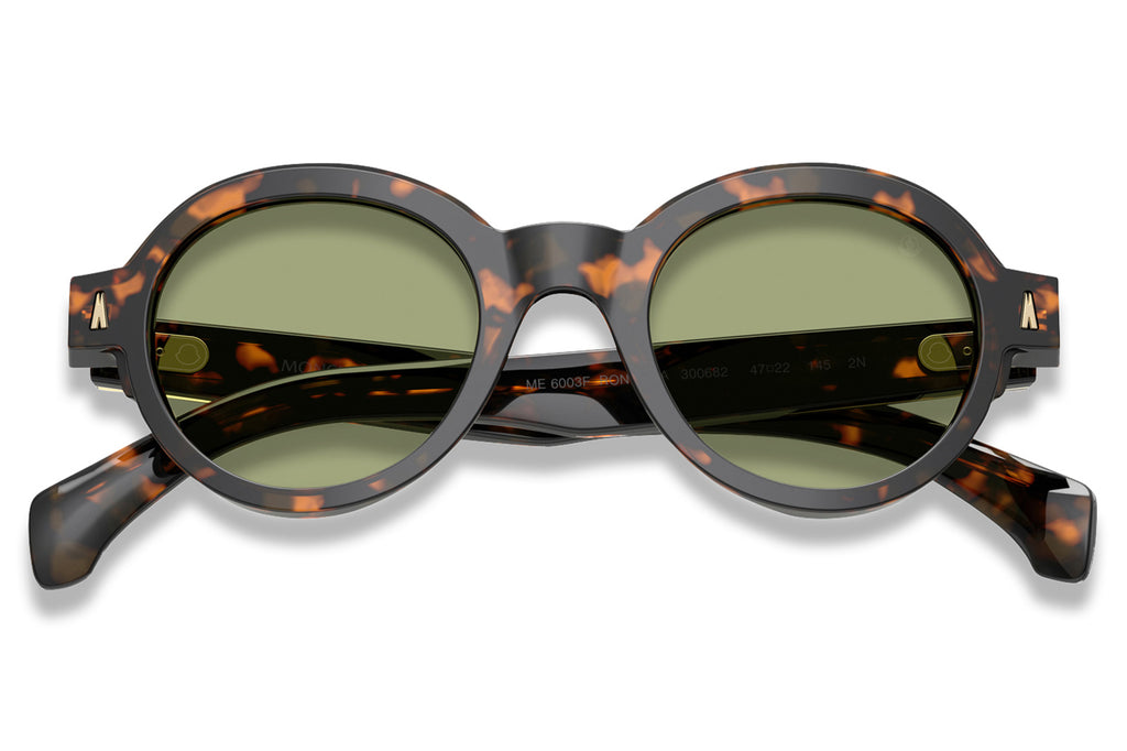 Moncler Lunettes® - Rondosa (ME6003F) Sunglasses Brown Green Havana