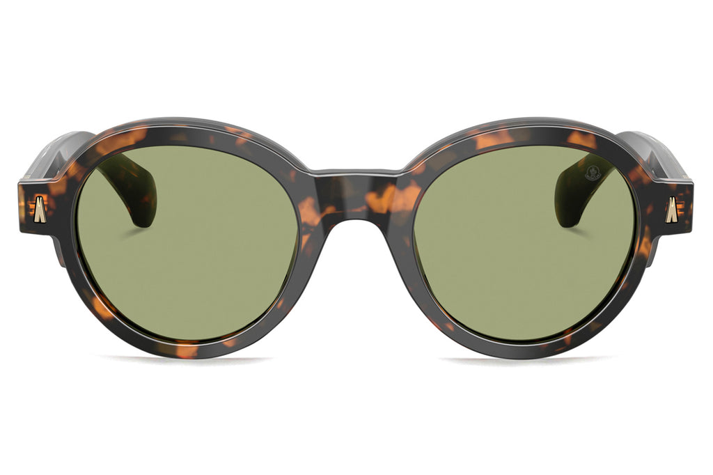 Moncler Lunettes® - Rondosa (ME6003F) Sunglasses Brown Green Havana