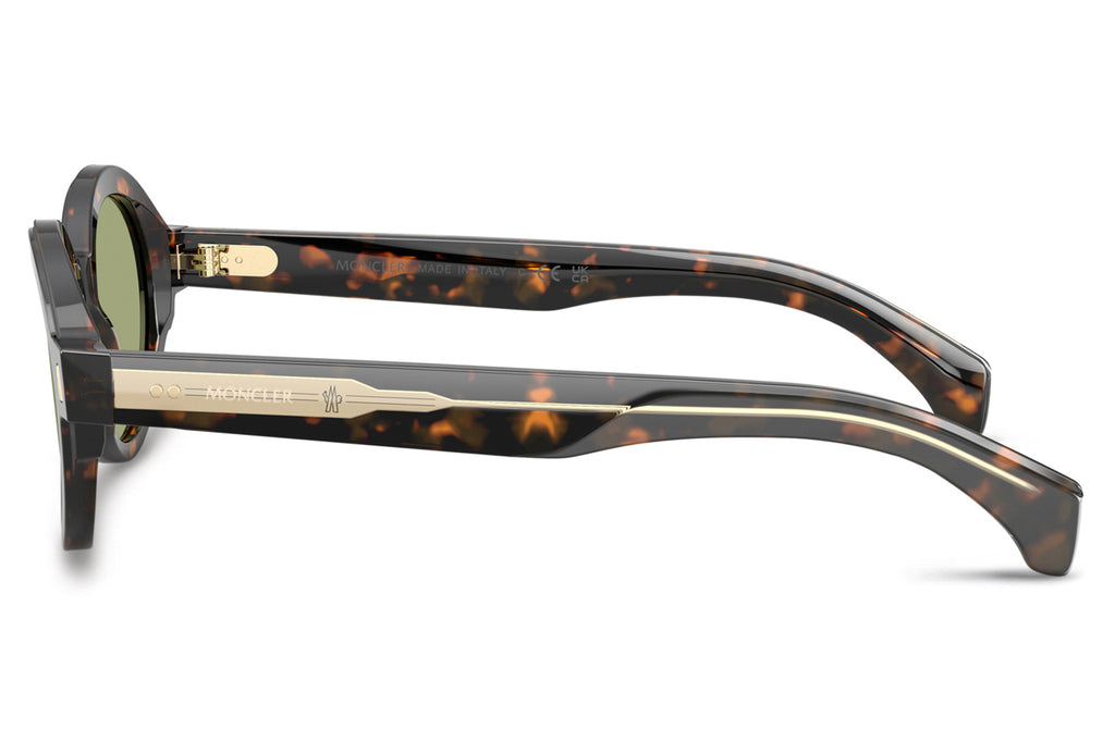 Moncler Lunettes® - Rondosa (ME6003F) Sunglasses Brown Green Havana