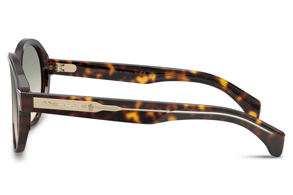 Moncler Lunettes® - Swanspan (ME6005F) Sunglasses Brown Tortoise