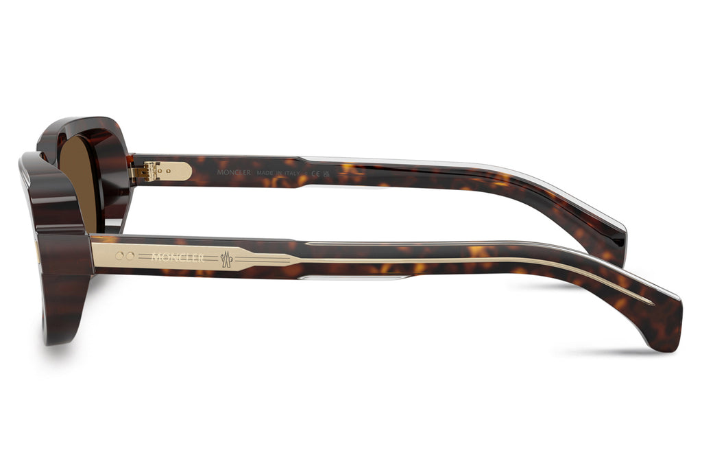 Moncler Lunettes® - Suntrap (ME6008F) Sunglasses Shiny Dark Havana