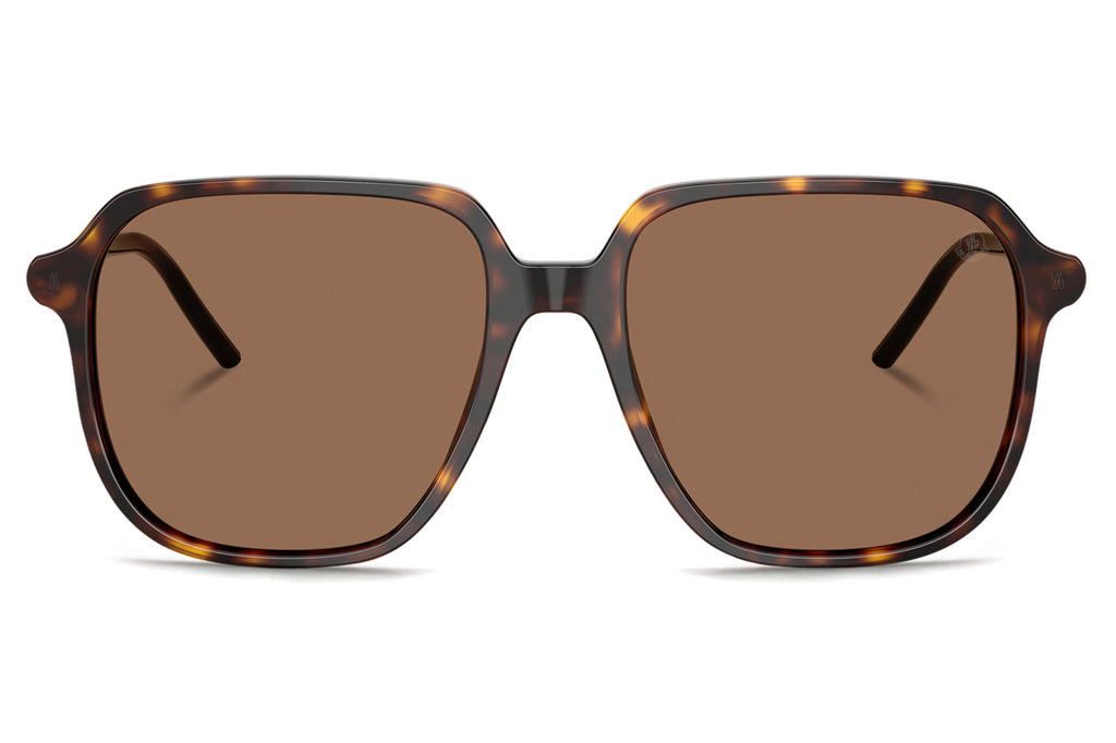 Moncler Lunettes® - Cylin (ME6010F) Sunglasses Shiny Dark Havana