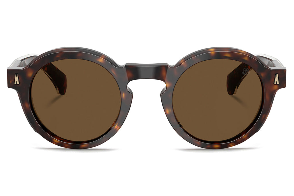 Moncler Lunettes® - Aurone (ME6012F) Sunglasses Shiny Dark Havana