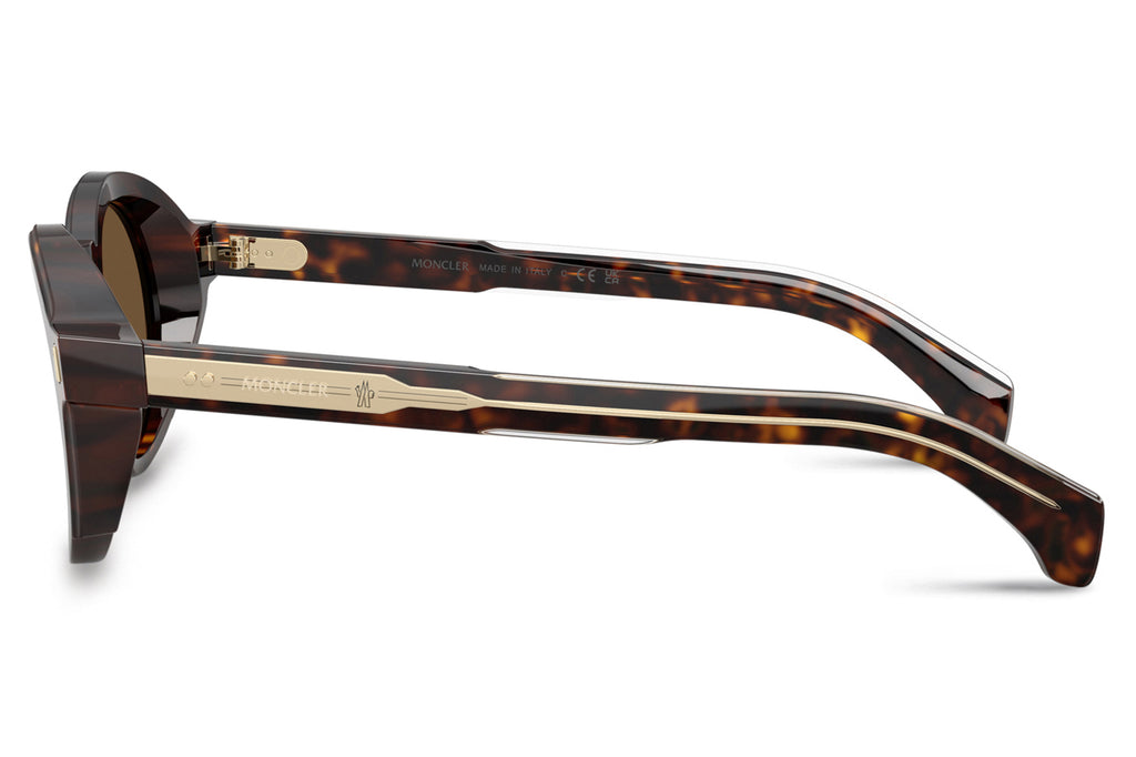 Moncler Lunettes® - Aurone (ME6012F) Sunglasses Shiny Dark Havana