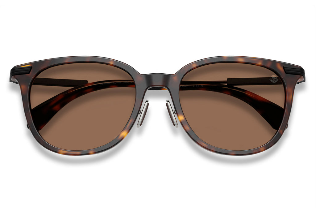 Moncler Lunettes® - Korra (ME6013F) Sunglasses Shiny Dark Havana