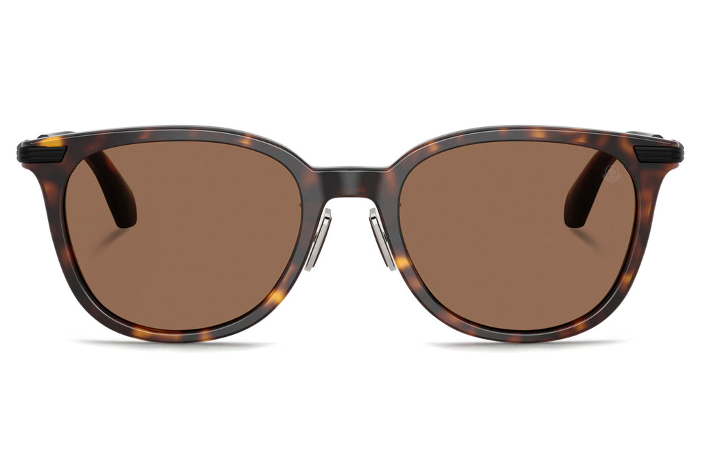 Moncler Lunettes® - Korra (ME6013F) Sunglasses Shiny Dark Havana