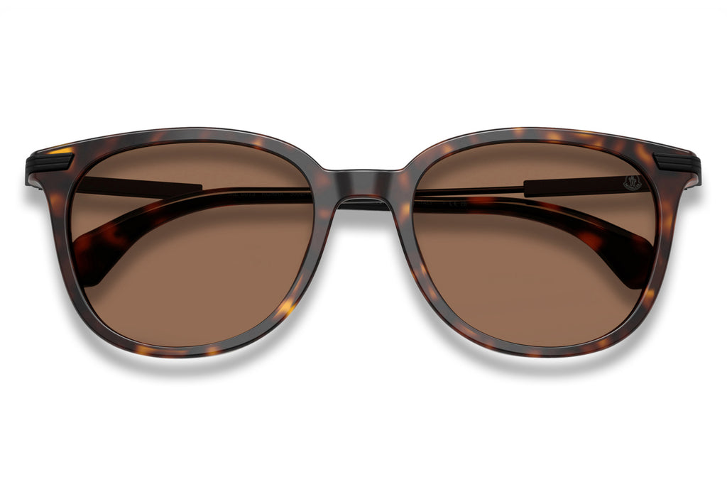 Moncler Lunettes® - Korra (ME6013) Sunglasses Shiny Dark Havana with Solid Brown Lenses