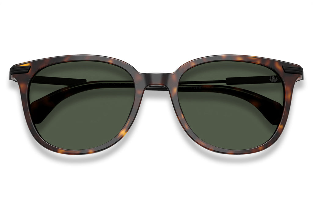 Moncler Lunettes® - Korra (ME6013) Sunglasses Shiny Dark Havana with Solid Green Polar Lenses