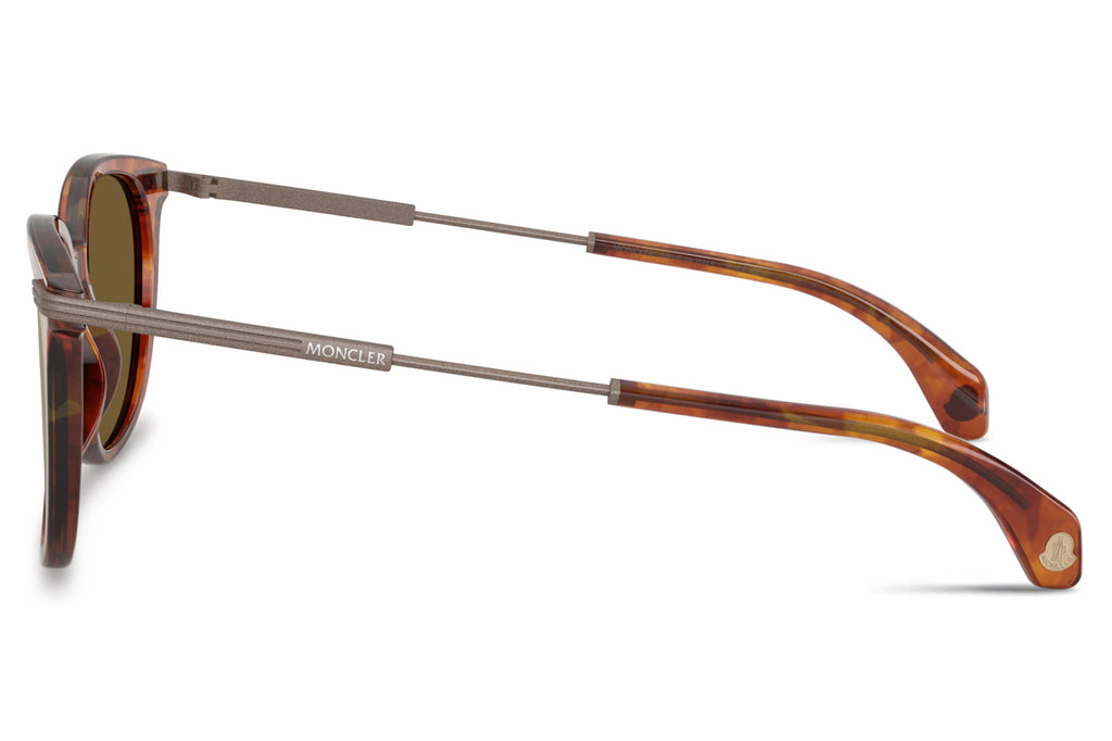 Moncler Lunettes® - Korra (ME6013) Sunglasses Shiny Brown Tortoise