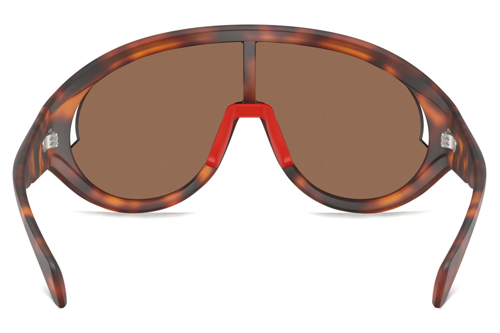Moncler Lunettes® - Contrast (ME8010) Sunglasses Matte Havana