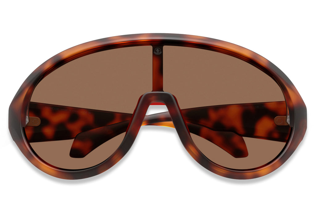 Moncler Lunettes® - Contrast (ME8010) Sunglasses Matte Havana