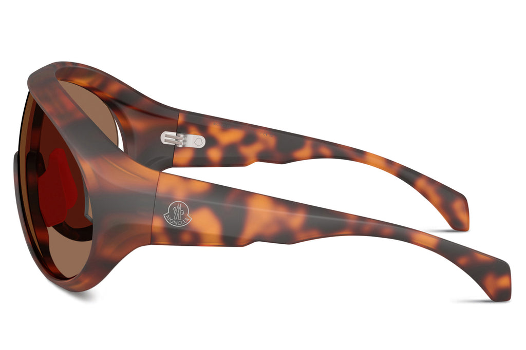 Moncler Lunettes® - Contrast (ME8010) Sunglasses Matte Havana