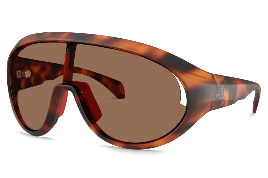Moncler Lunettes® - Contrast (ME8010) Sunglasses Matte Havana