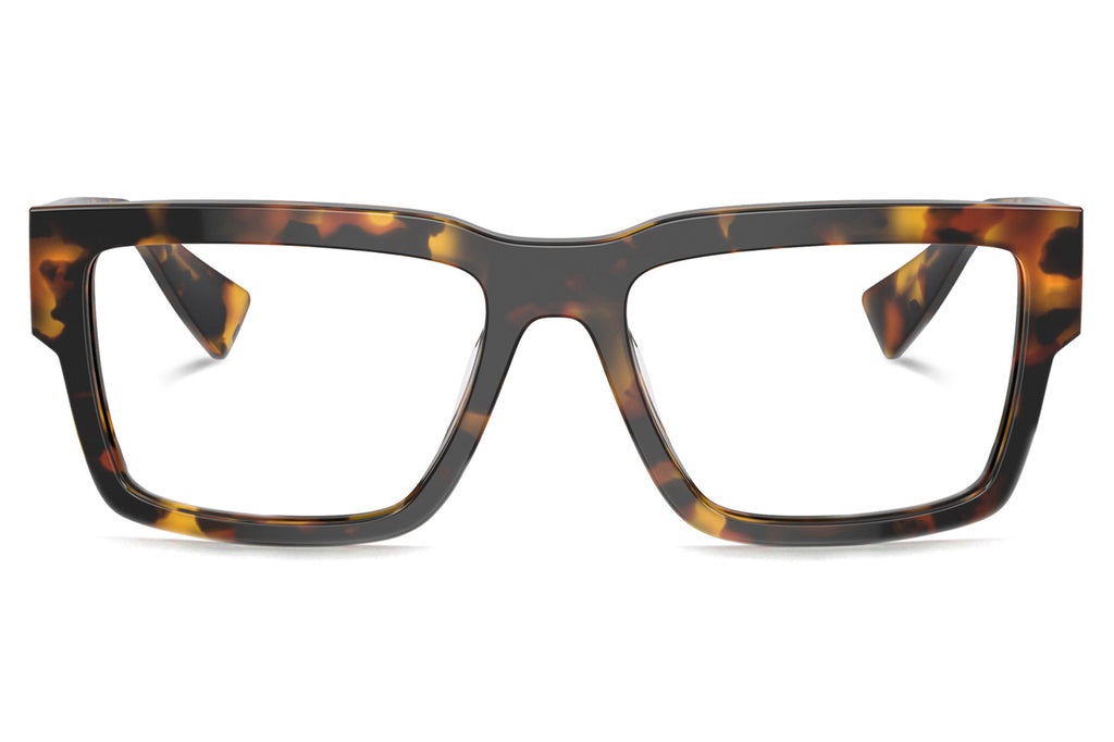 Miu Miu - MU 02XV Eyeglasses Honey Tortoise (VAU1O1)