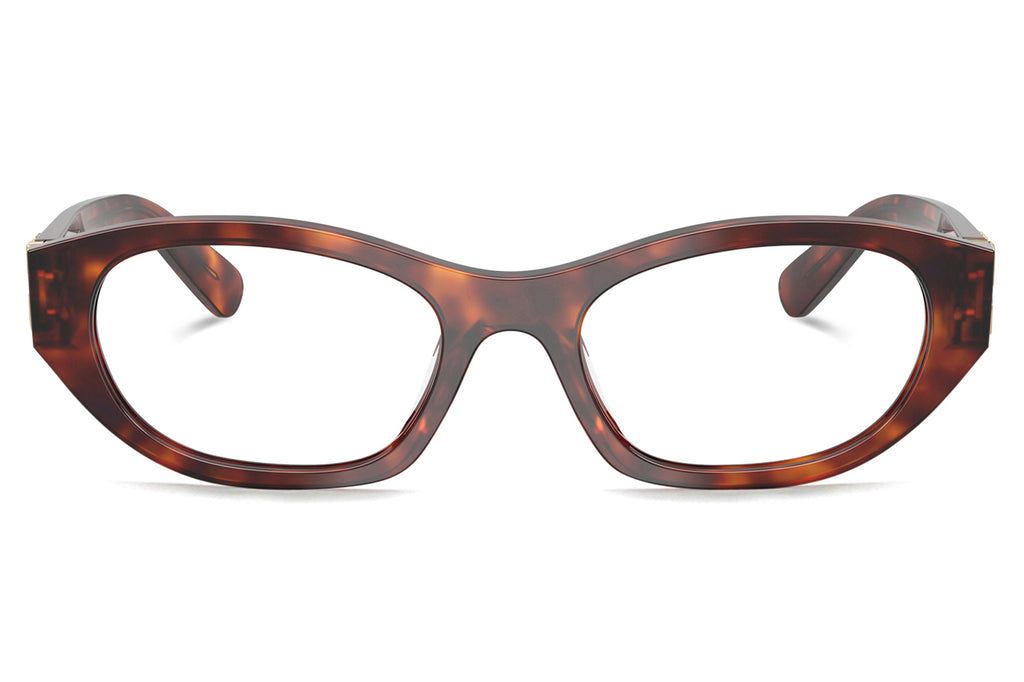 Miu Miu - MU 03WV Eyeglasses Havana Mahogany (21C1O1)