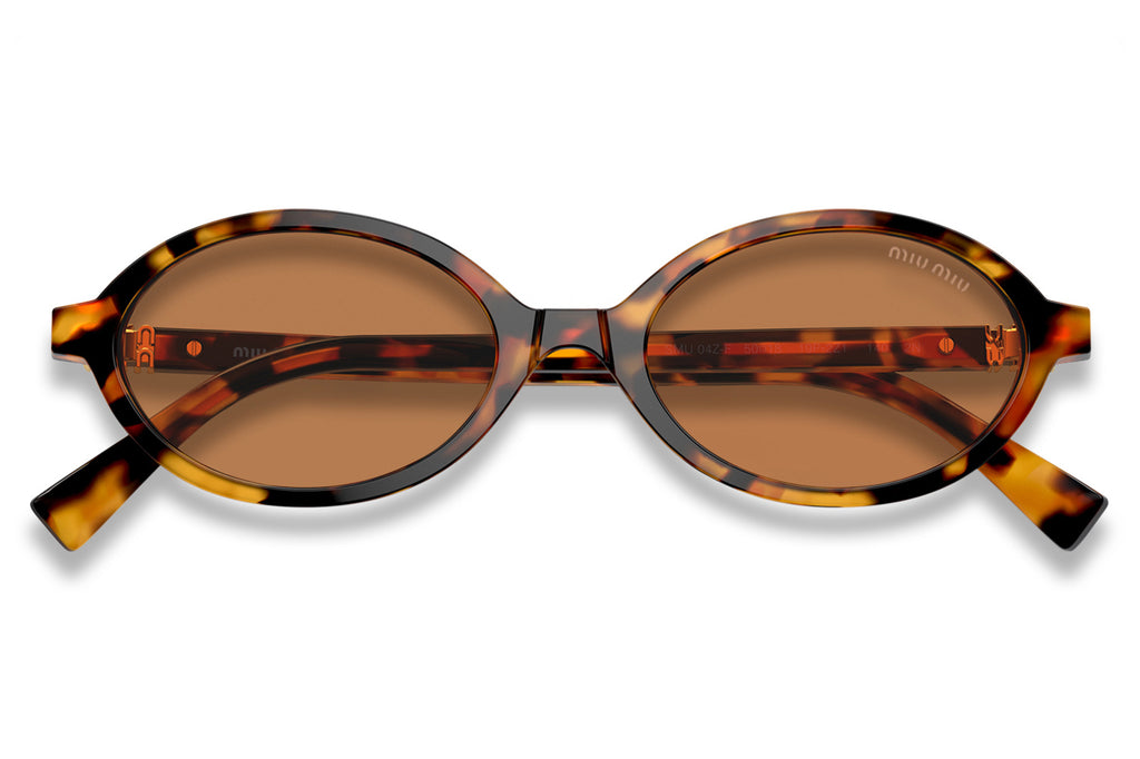 Miu Miu - MU 04ZSF (Low Bridge Fit) Sunglasses Light Havana with Brown Lenses (19P2Z1)