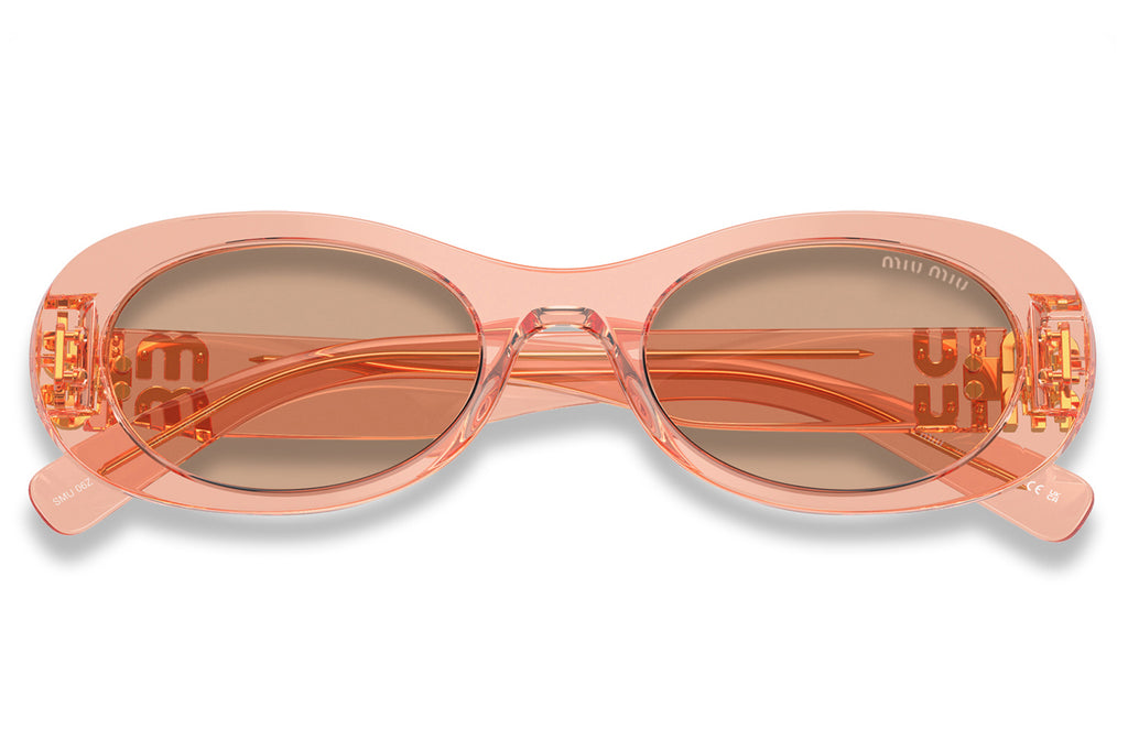 Miu Miu - MU 06ZS Sunglasses Transparent Noisette with Dark Brown Lenses (13T1P1)