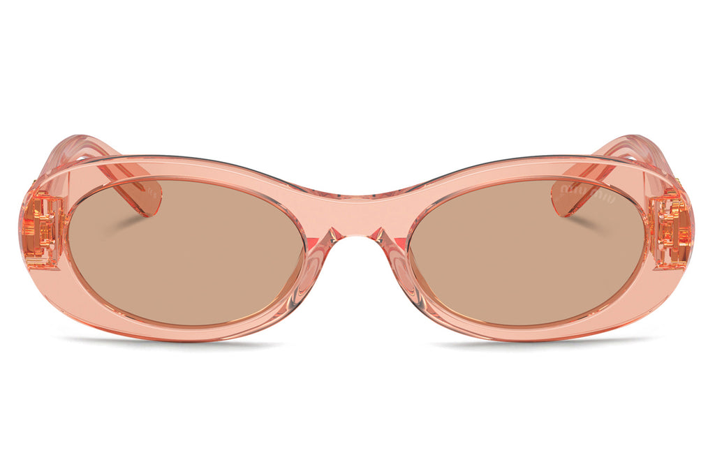 Miu Miu - MU 06ZS Sunglasses Transparent Noisette with Dark Brown Lenses (13T1P1)