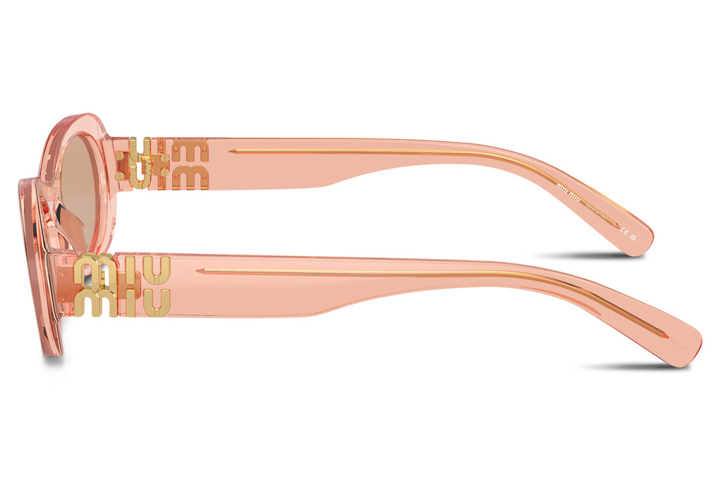 Miu Miu - MU 06ZS Sunglasses Transparent Noisette with Dark Brown Lenses (13T1P1)