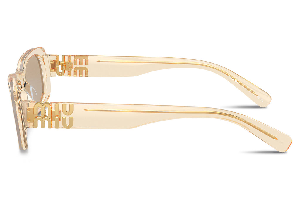 Miu Miu - MU 08ZS Sunglasses Transparent Sand with Dark Brown Lenses (11T40F)