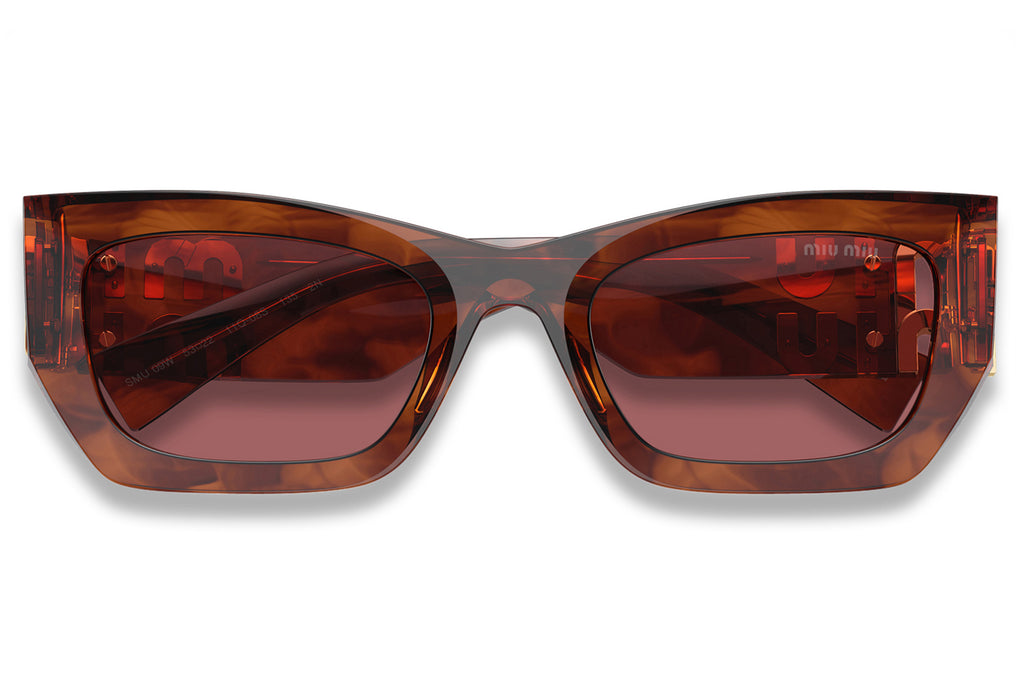 Miu Miu - MU 09WS Sunglasses Striped Tobacco with Dark Violet Lenses (11Q08S)