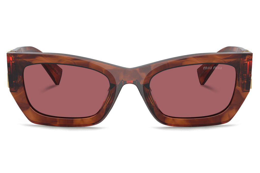 Miu Miu - MU 09WS Sunglasses Striped Tobacco with Dark Violet Lenses (11Q08S)