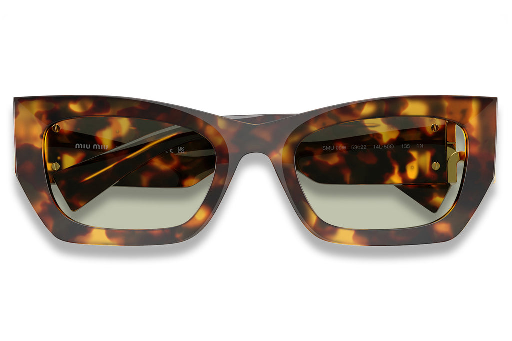 Miu Miu - MU 09WS Sunglasses Honey Havana with Green Lenses (14L50O)