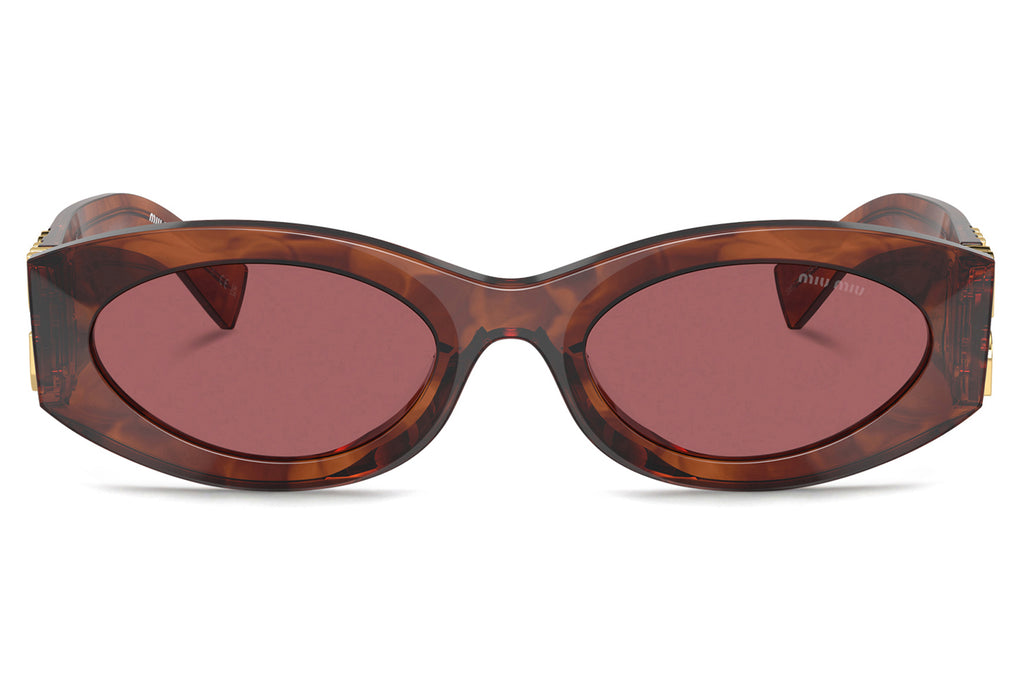 Miu Miu - MU 11WS Sunglasses Striped Tobacco with Dark Violet Lenses (11Q08S)