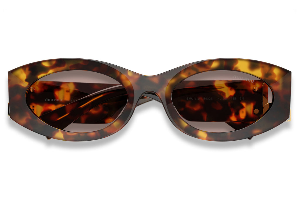 Miu Miu - MU 11WS Sunglasses Honey Havana with Light Purple Brown Lenses (14L20I)